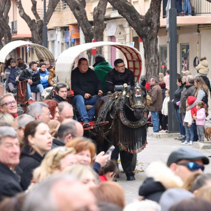Los animales y mascotas de Torrent, protagonistas de la festividad de Sant Antoni Abad