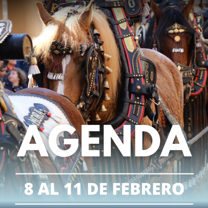 Agenda del fin de semana a Torrent (8 al 11 de febrero)