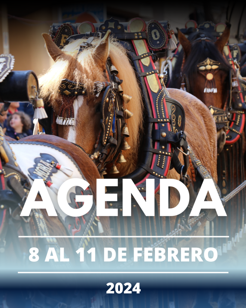 Agenda del cap de setmana a Torrent (8 a l’11 de febrer)