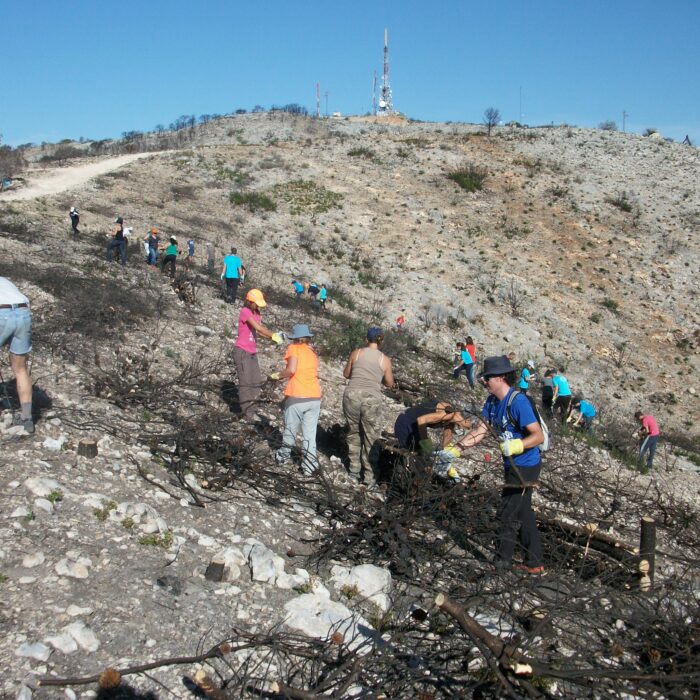Torrent realizará un recorrido por la naturaleza renacida tras el incendio de 2014 en la Serra Perenxisa