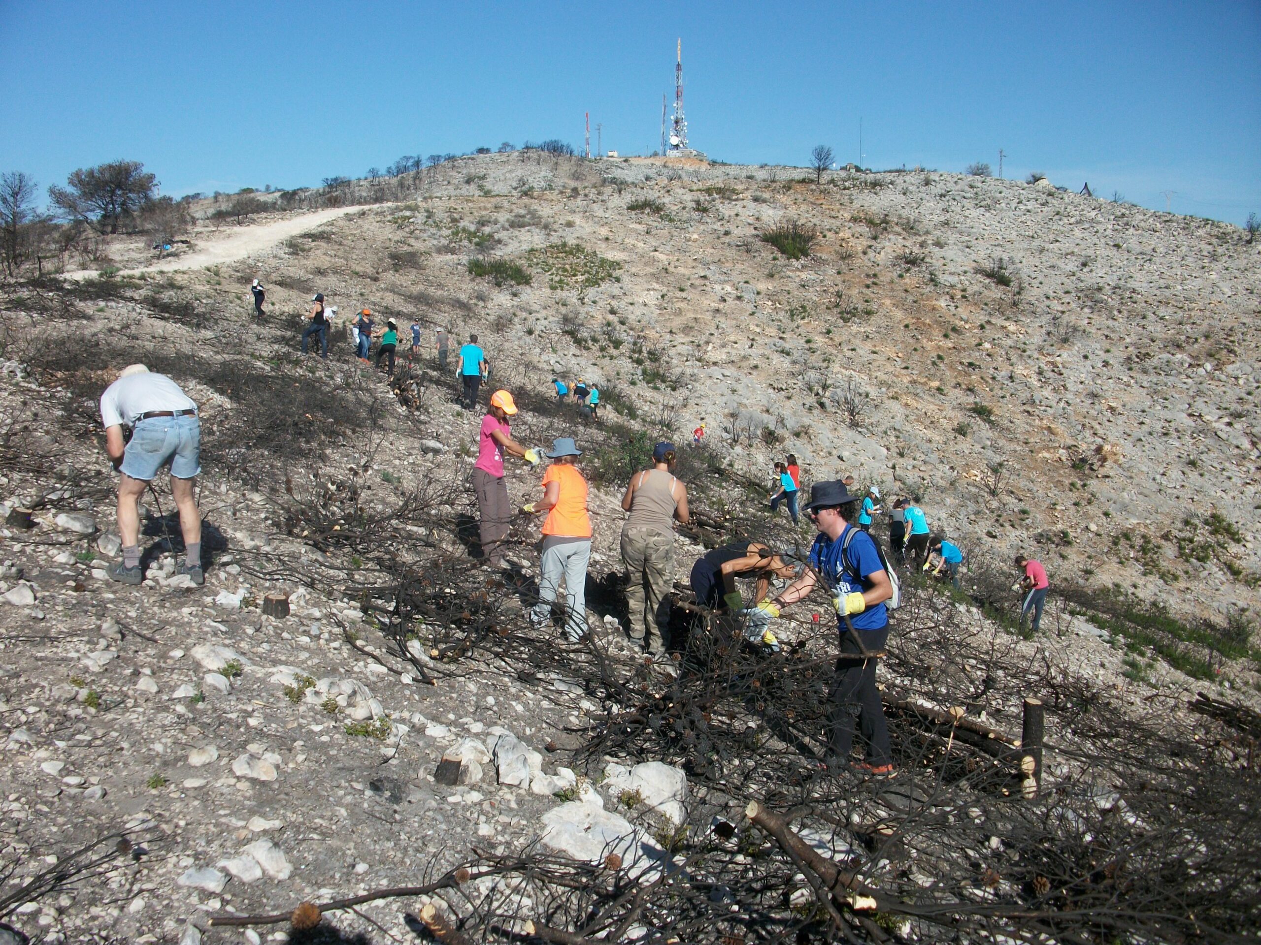 Torrent realizará un recorrido por la naturaleza renacida tras el incendio de 2014 en la Serra Perenxisa