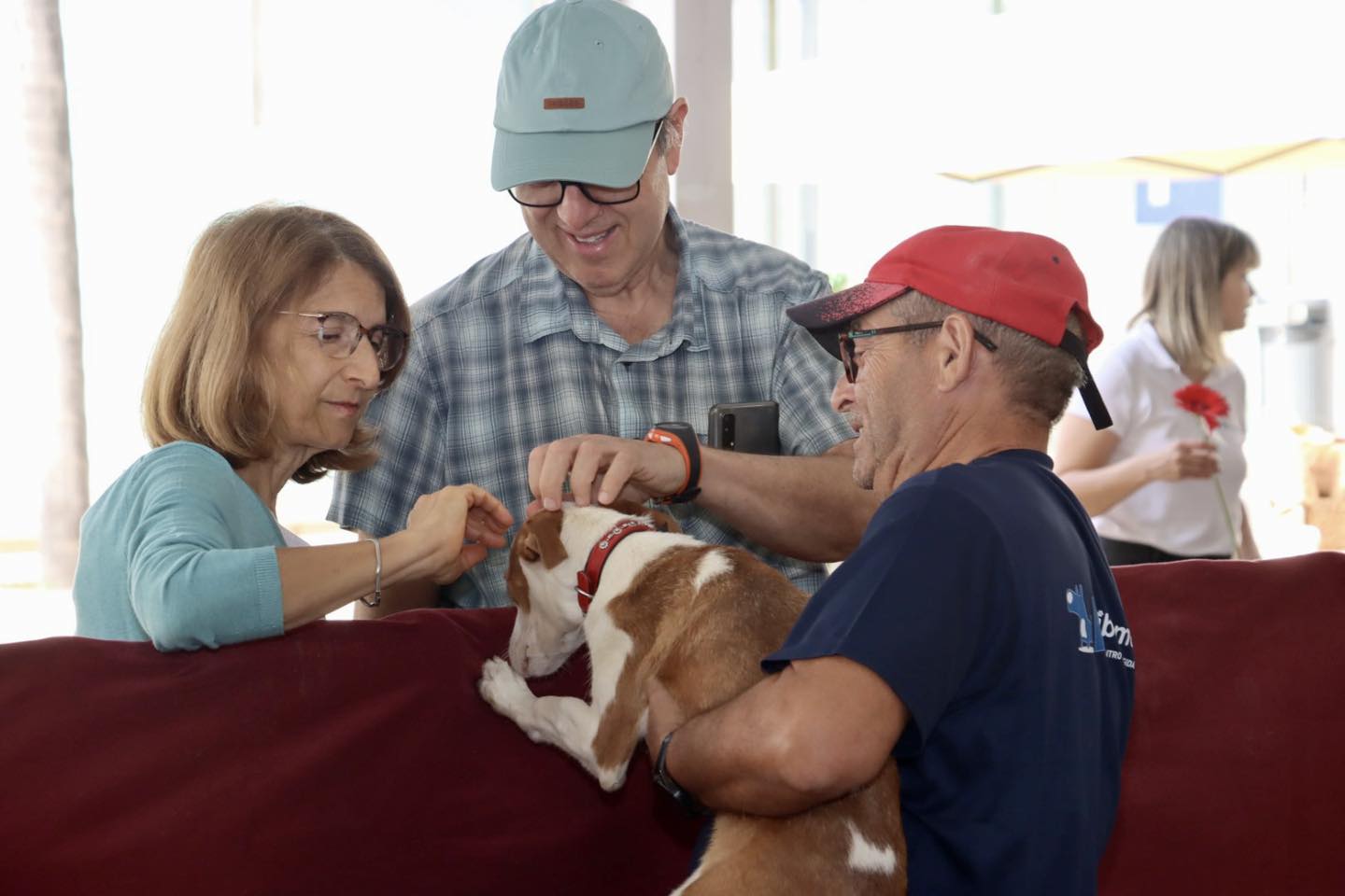 15 animales encuentran un hogar en la II Feria de la Adopción de Torrent, consolidando la iniciativa