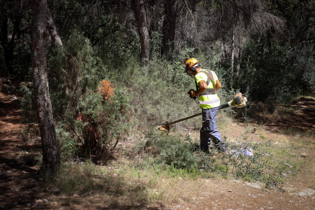 Torrent amplia els treballs de prevenció d’incendis forestals, manteniment i neteja