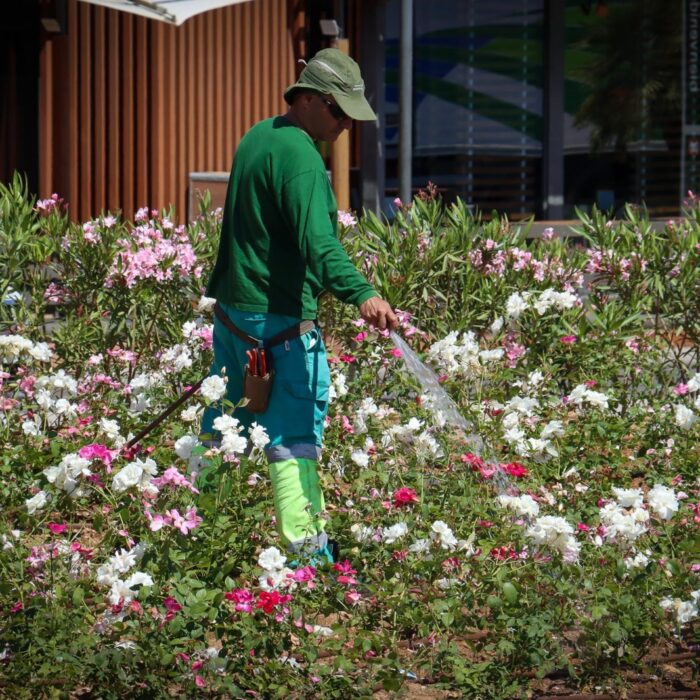 Nous Espais de Torrent convoca 7 puestos de personal laboral de jardineros y jardineras