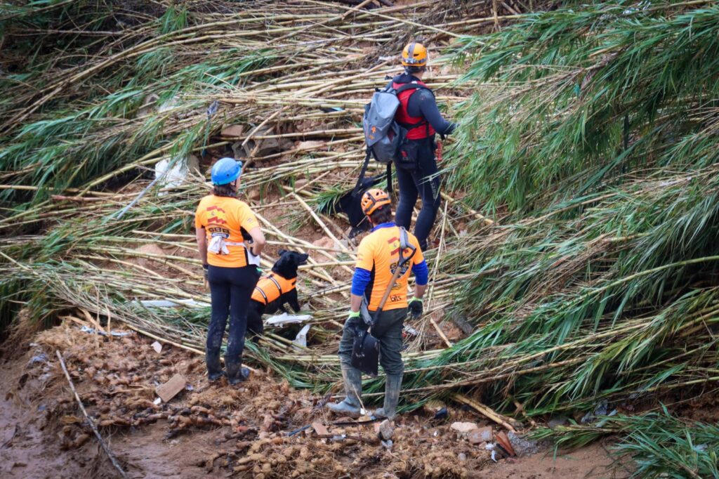 OPERATIVO DE BÚSQUEDA DE DESAPARECIDOS: Se están empleando cámaras térmicas, drones, perros adiestrados junto al dispositivo de agentes, técnicos y especialistas