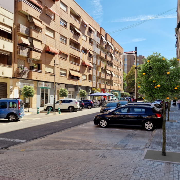 Los vecinos eligen el naranjo amargo para replantar en las calles Germanies y San Valeriano