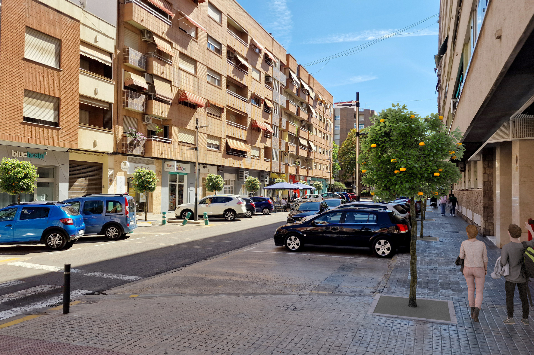 Els veïns trien el taronger amarg per a replantar als carrers Germanies i Sant Valerià