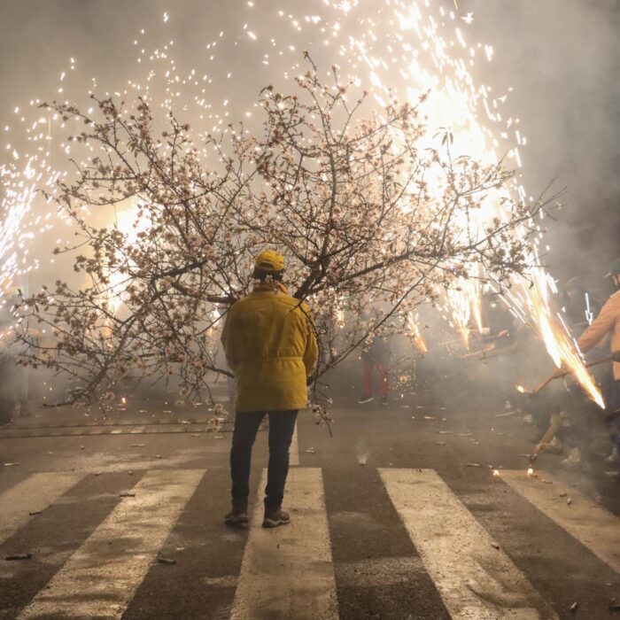 Un legado de siglos brillará en Torrent con l’Entrà de la Flor el 1 de febrero