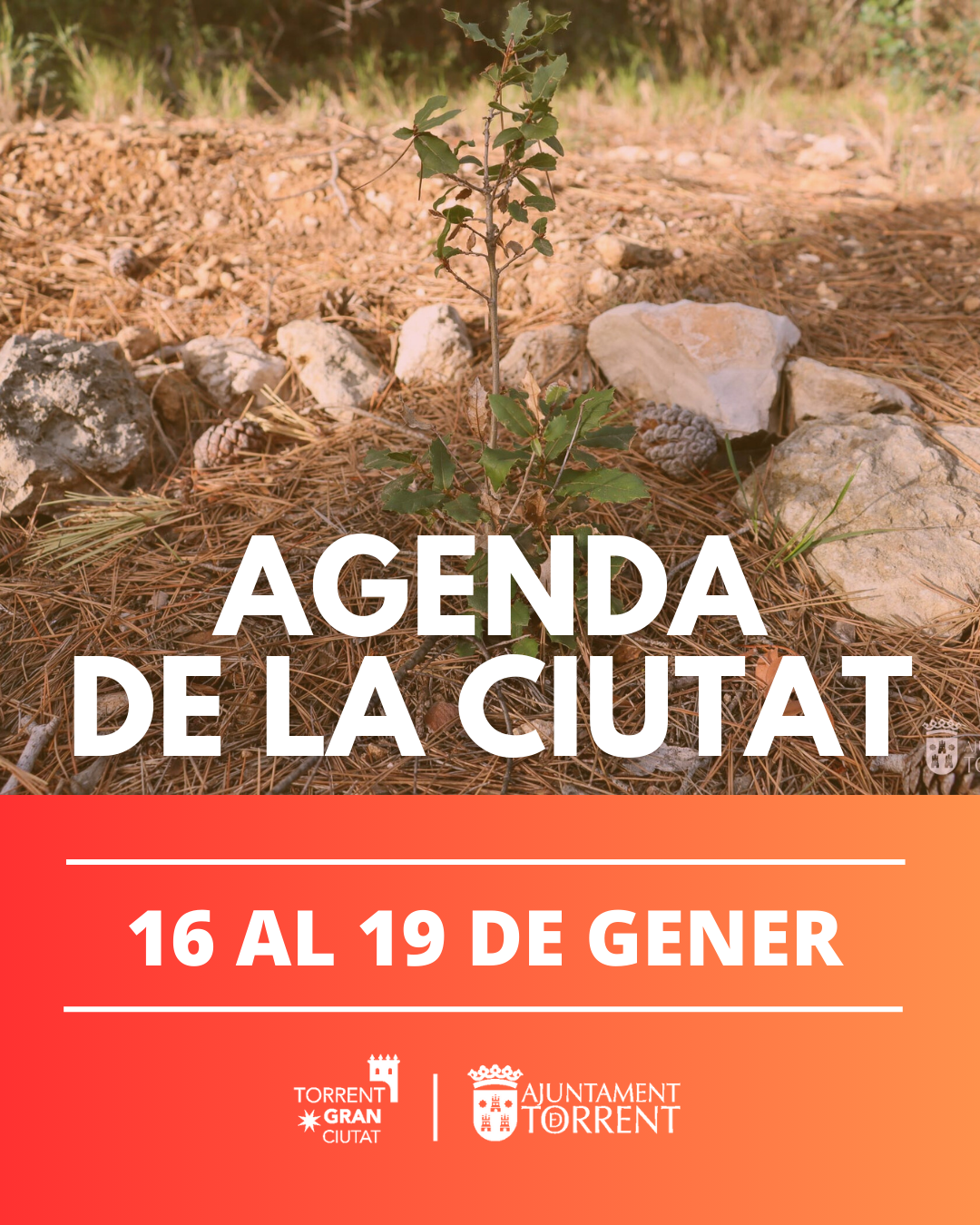 Agenda de la Ciudad (16 al 19 de enero)